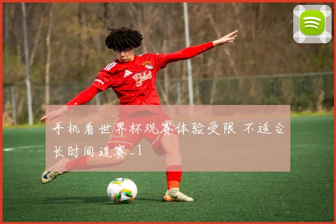 手机看世界杯观赛体验受限 不适合长时间追赛_1