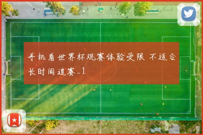 手机看世界杯观赛体验受限 不适合长时间追赛_1