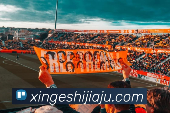赛事专题整合
